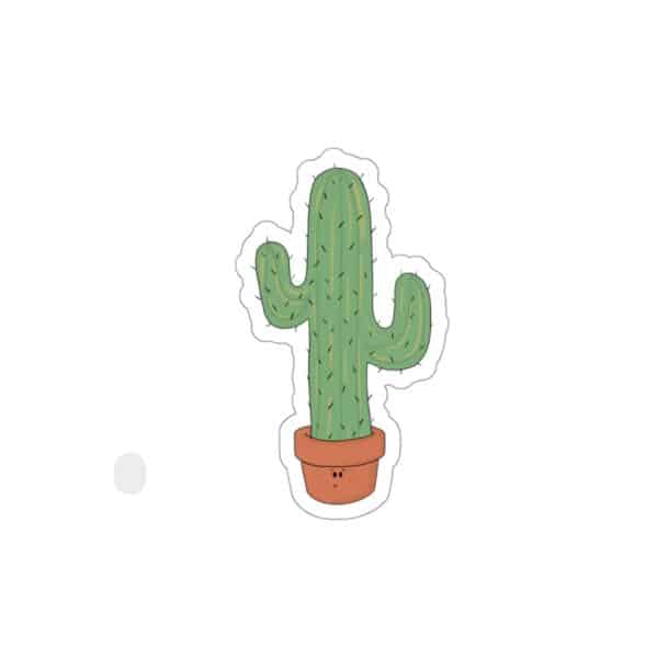 Shy Guy Saguaro image